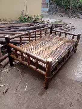 Amben bambu hitam