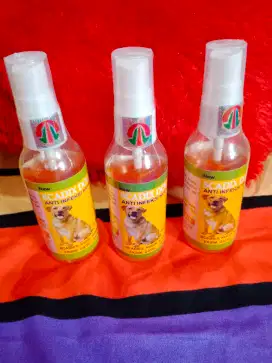 Obat Jamur utk Anjing MANJUR