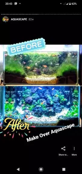 Jasa pembersihan Aquarium/Akuarium Professional Kantor/Rumah