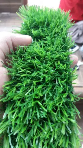 Rumput Sintetis 3cm | Rumput Buatan | Rumput awet | Rumput Swiss