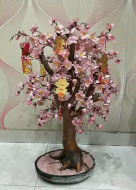 Hiasan Dekorasi Tanaman Pohon Bunga Sakura Mehwa Bagus Keren