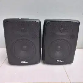 Speaker Blackspider S622