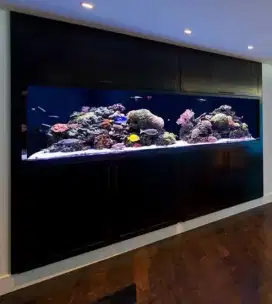 Display Ruangan Aquarium Laut Full Biota