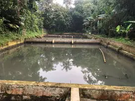 Jual Tanah&Kolam Ikan. Tanah Sareal, Kota Bogor(Yasmin,Bcc,Salabenda)