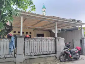 KANOPI baja ringan ( alderon single )