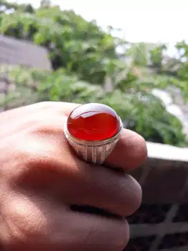 Batu Red Raflesia Bengkulu Original
Natural Red Carnelian Chalcedony