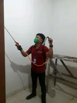 Jasa Anti Rayap Profesional