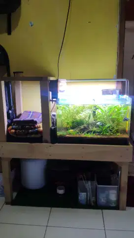 Fullset Aquascape