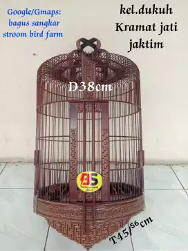 Sangkar Anis D38 SOLO an