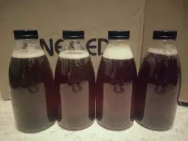 Madu Hutan 350ml