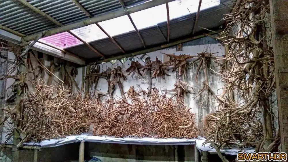 Bahan Hardscape Aquascape & Paludarium