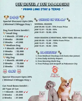 grooming anjing surabaya