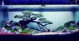 Design tema aquascape big tank akuarium desain