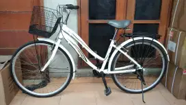 Wimcycle Starlite