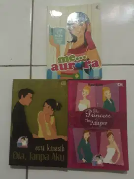 Buku novel sang putri dan si miskin