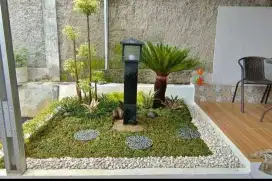 TAMAN RUMPUT GAJAH MINI DAN POHON HIAS