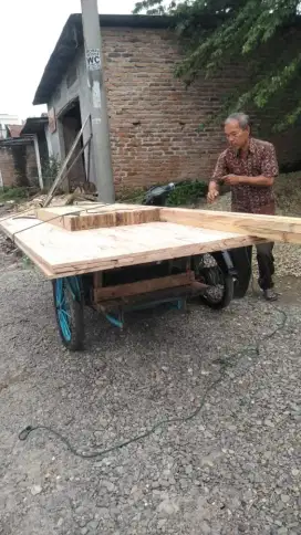 kayu jati Belanda.