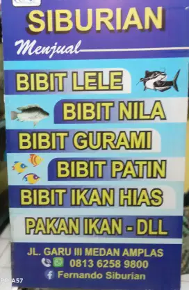 Jual bibit ikan nila, Lele, mas, bawal, patin , gurame, baung