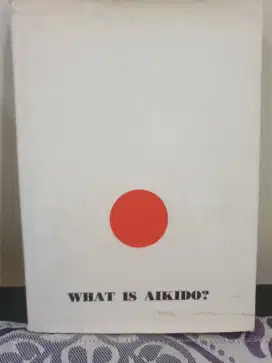 What is Aikido?