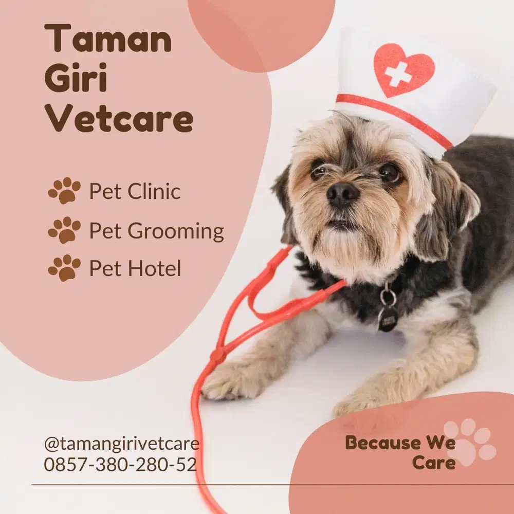 Dokter Hewan dan Petshop di Jimbaran Nusa Dua vaksin steril kastrasi