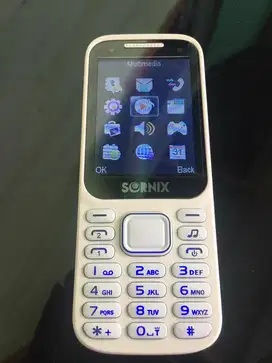 Sornix x1 white