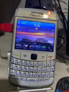 Jual murah blackberry batang kondisi hidup