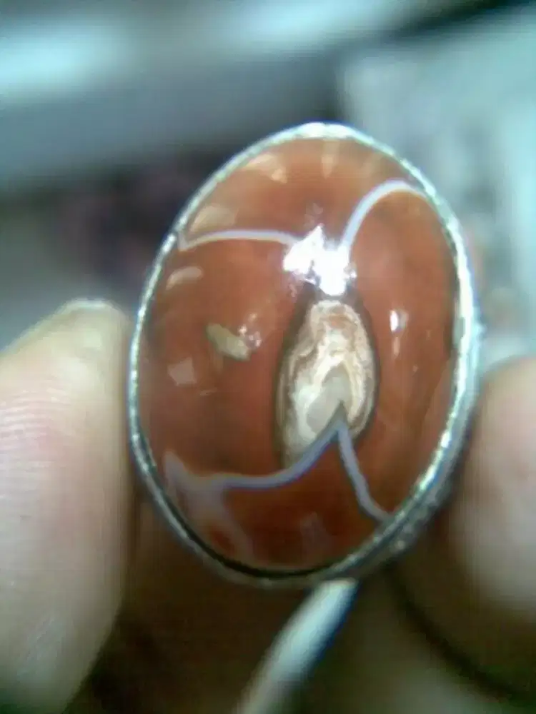 Natural Batu Cincin Sulaiman Puseer Bumi n Junder Antik