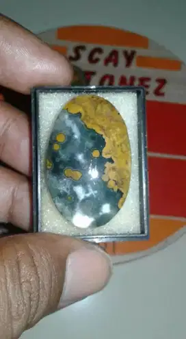 Natural lostone batu akik telor kodok