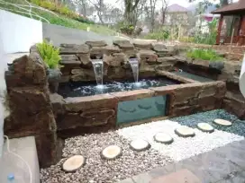 Tukang taman kolam koi