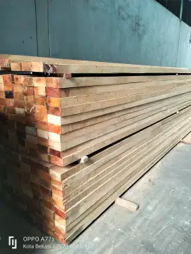 Kayu Damar Laut 5 & 6 Meter