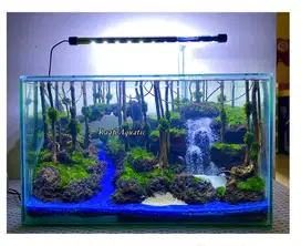 Aquascape forest mini