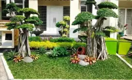 Taman Rumah (sesuai budget)