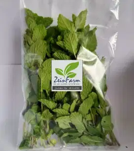 Daun Mint segar perpack