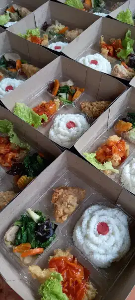 Nasi box murah lezato