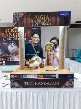 Grooming Kucing Panggilan