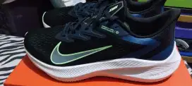 Sepatu Nike Winflo 7