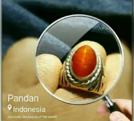 Cincin Batu Pandan Redish