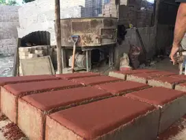 Menjual berbagai macam paving block dan batako dan kastin