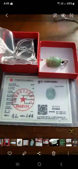 Liontin jade jadeite Grade A bentuk Kura.