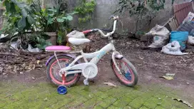 Sepeda anak wim cycle frozen