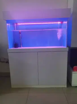 Aquarium bagus minimalis