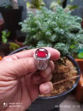 Red Garnet Natural ring Titanium size 7/17