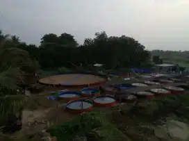 Dibutuhkan pekerja untuk tambak ikan