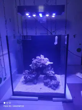 Aquarium laut fullset