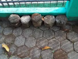 Batako yang terdiri dari 18 buah.