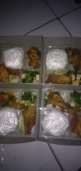 Paket Nasi Kotak nasi box catering untuk semua acara