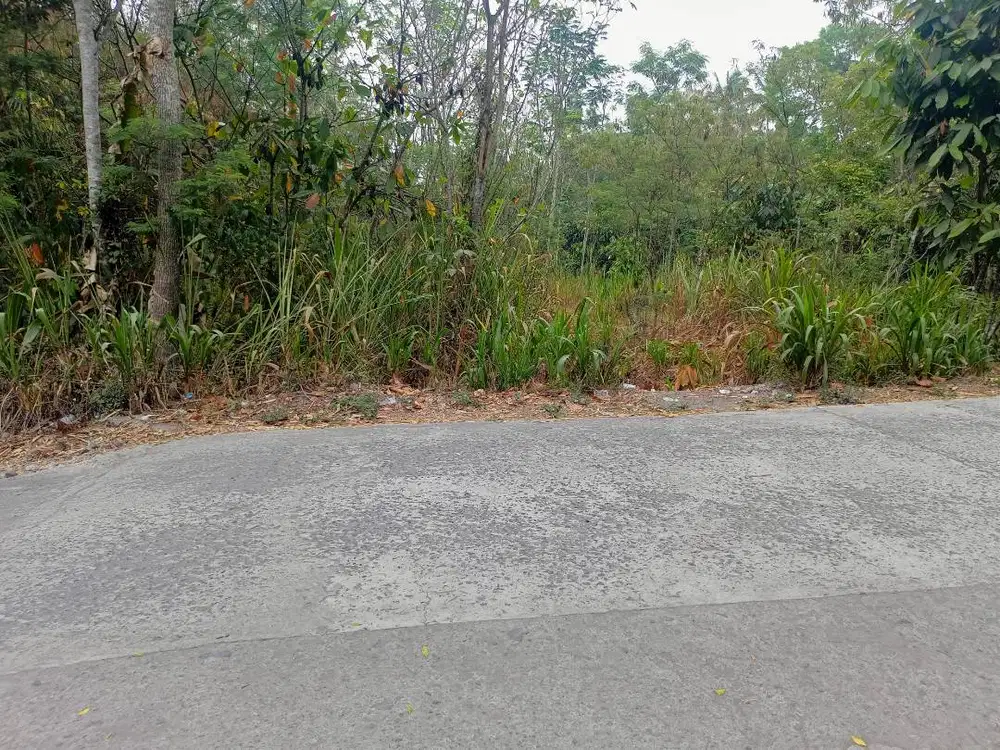 Dijual tanah pekarangan 8430 m2.tanpa perantara