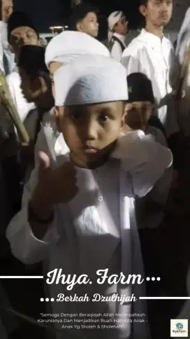 Domba Aqiqah Doa Ibu
