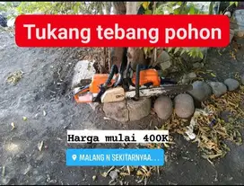 Tebang pohon murah