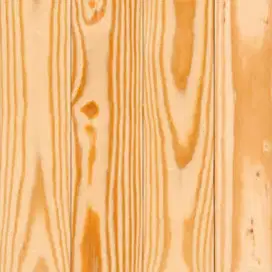 Kayu Palet pinus jati belanda